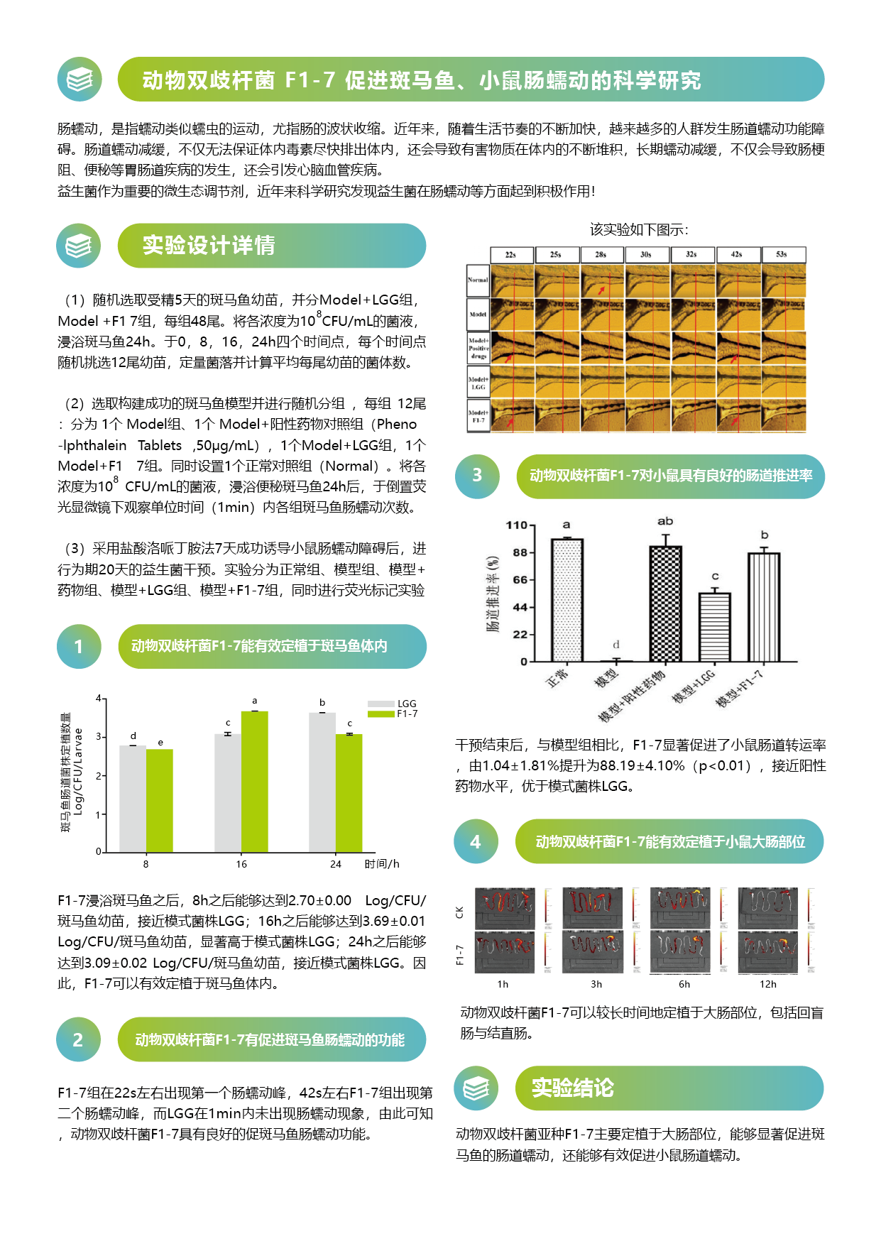 F1-7 促进肠道蠕动-02.png