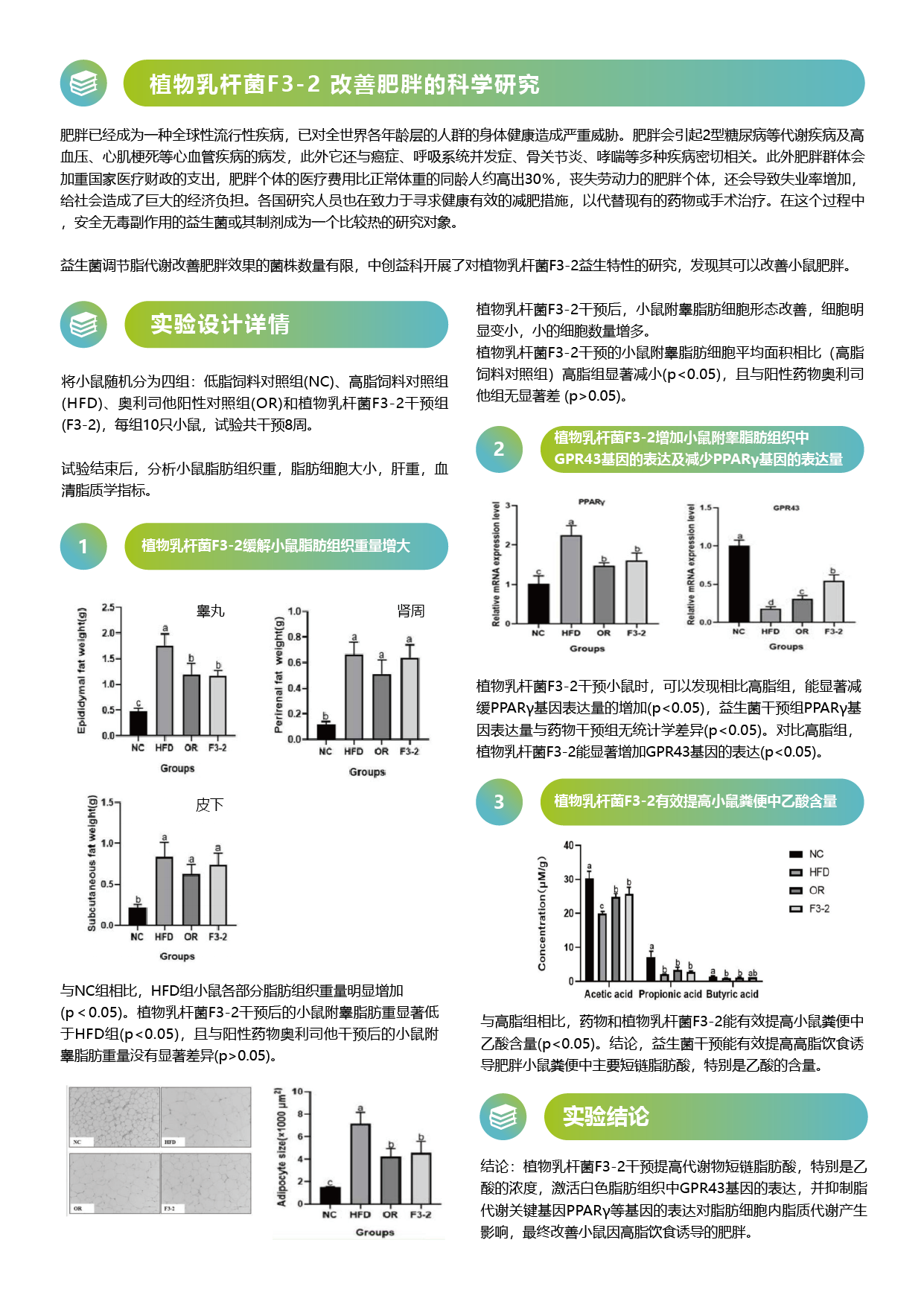 F3-2 改善肥胖-02.png